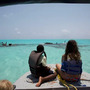 https://big-v-raizal-home.sanandreshotels.com